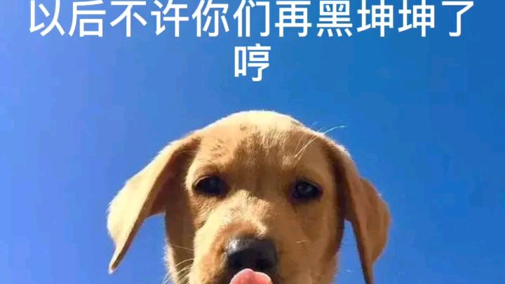 你们懂个p。。。哈哈哈哈